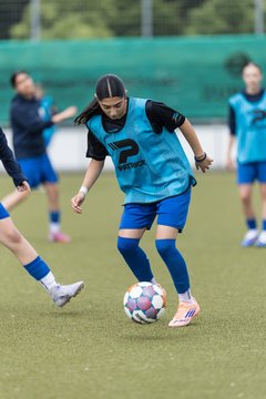 Bild 180 - wBJ Hamburger SV - FC Suederelbe : Ergebnis: 9:0